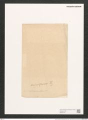 Navicula microstauron (Ehr.) O'Meara (de-Toni-Nr.: Genus 1, Species 399) Zeichnungen Sammlung Grunow (NHMW-BOT-W0367374)